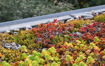 the cost of Leake Hurns End green roof installation