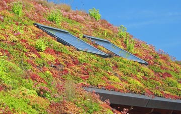 Leake Hurns End living roof systems
