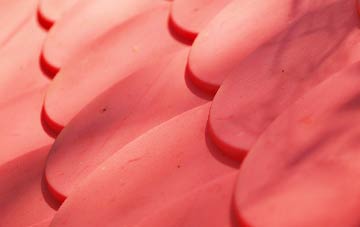 Leake Hurns End plastic roof costs